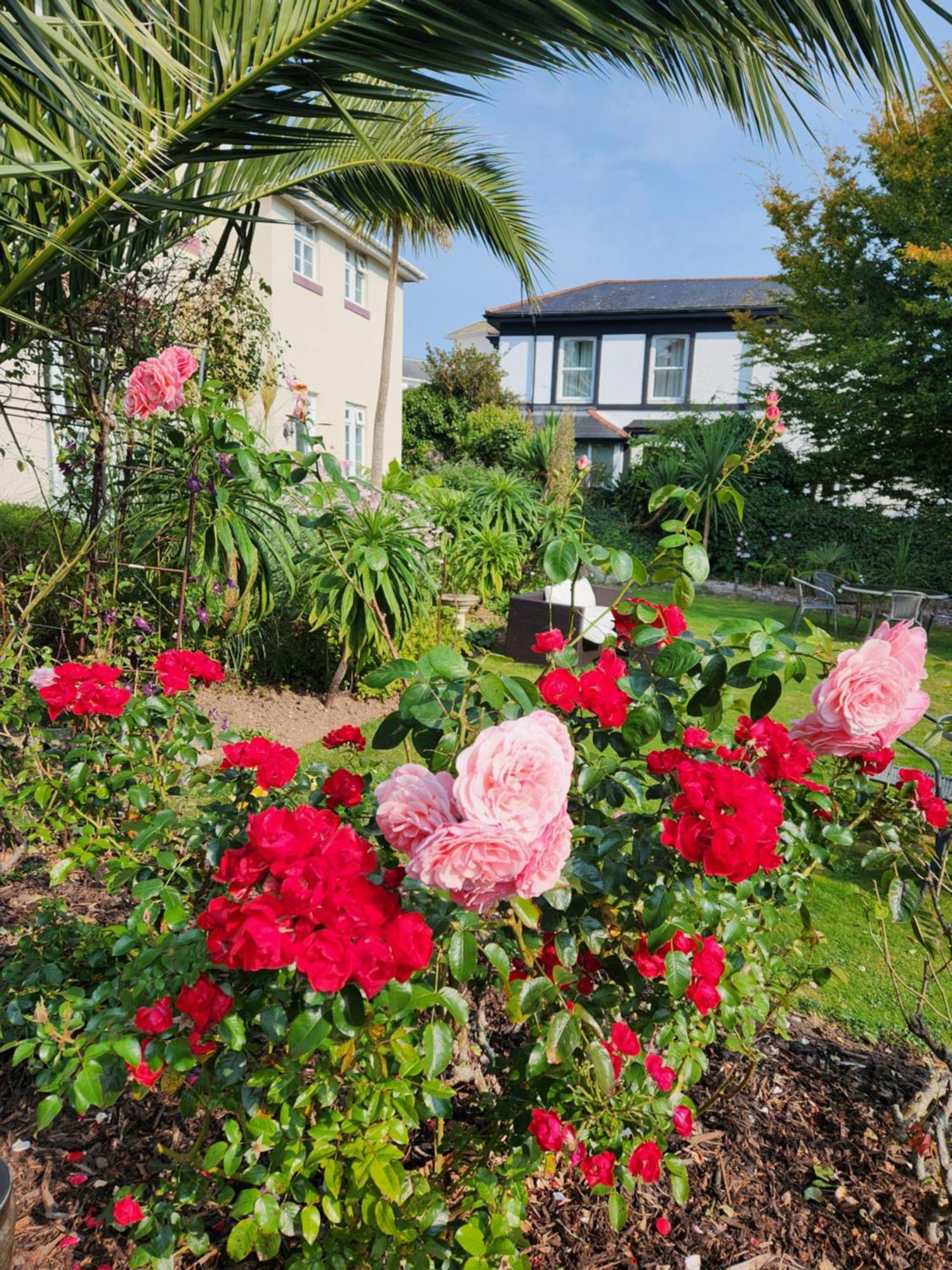 Rose Court Holiday Apartments トーキー エクステリア 写真
